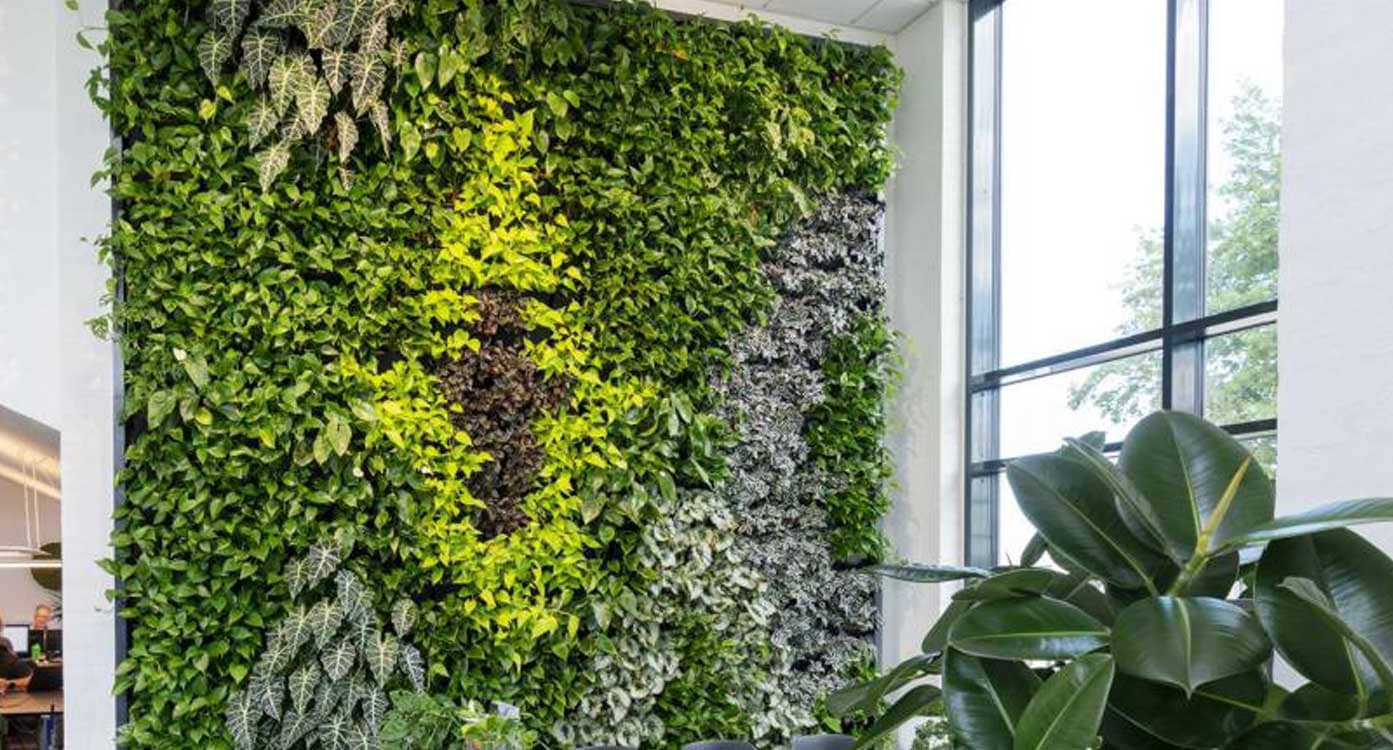 Premium Architectural Lawn