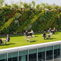 Architectural lawn for cafes